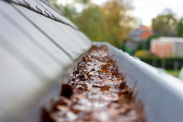 Commercial Gutter Cleaning in Johnson City