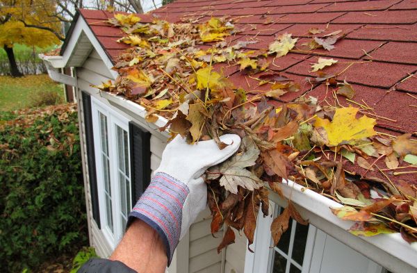 Rain Gutter Cleaning Service in Johnson City