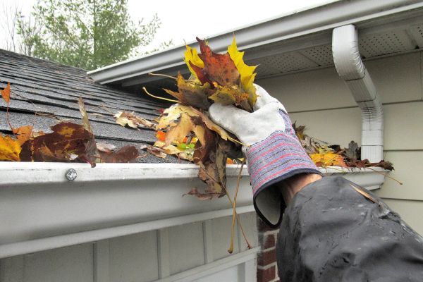 Gutter Cleaning in Johnson City