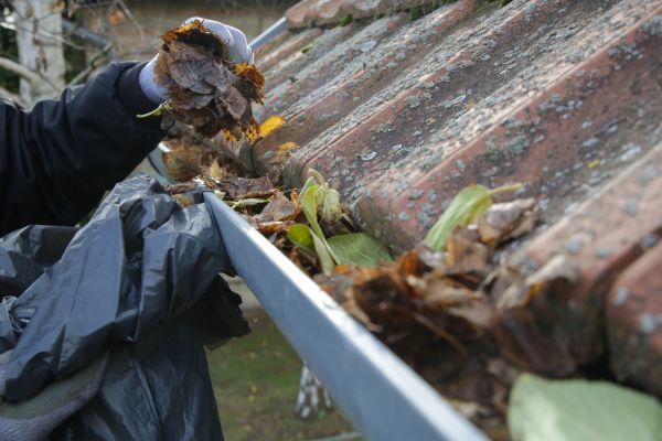 Commercial Gutter Unclogging in Johnson City