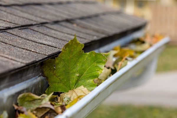 Commercial Downspout Cleaning in Johnson City