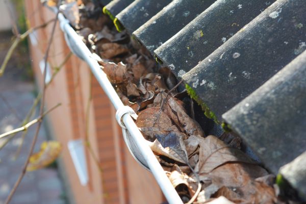 Cost of Home Gutter Cleaning in Johnson City