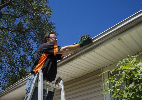 Cost of Eavestrough Clearing in Johnson City