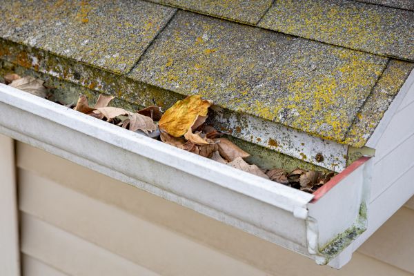 Cost of Garage Gutter Cleaning in Johnson City